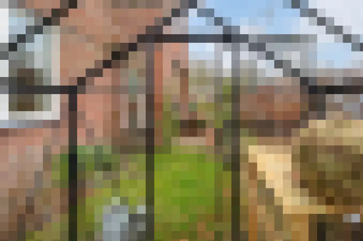 Boschweg 160 Schijndel thumbnail 21