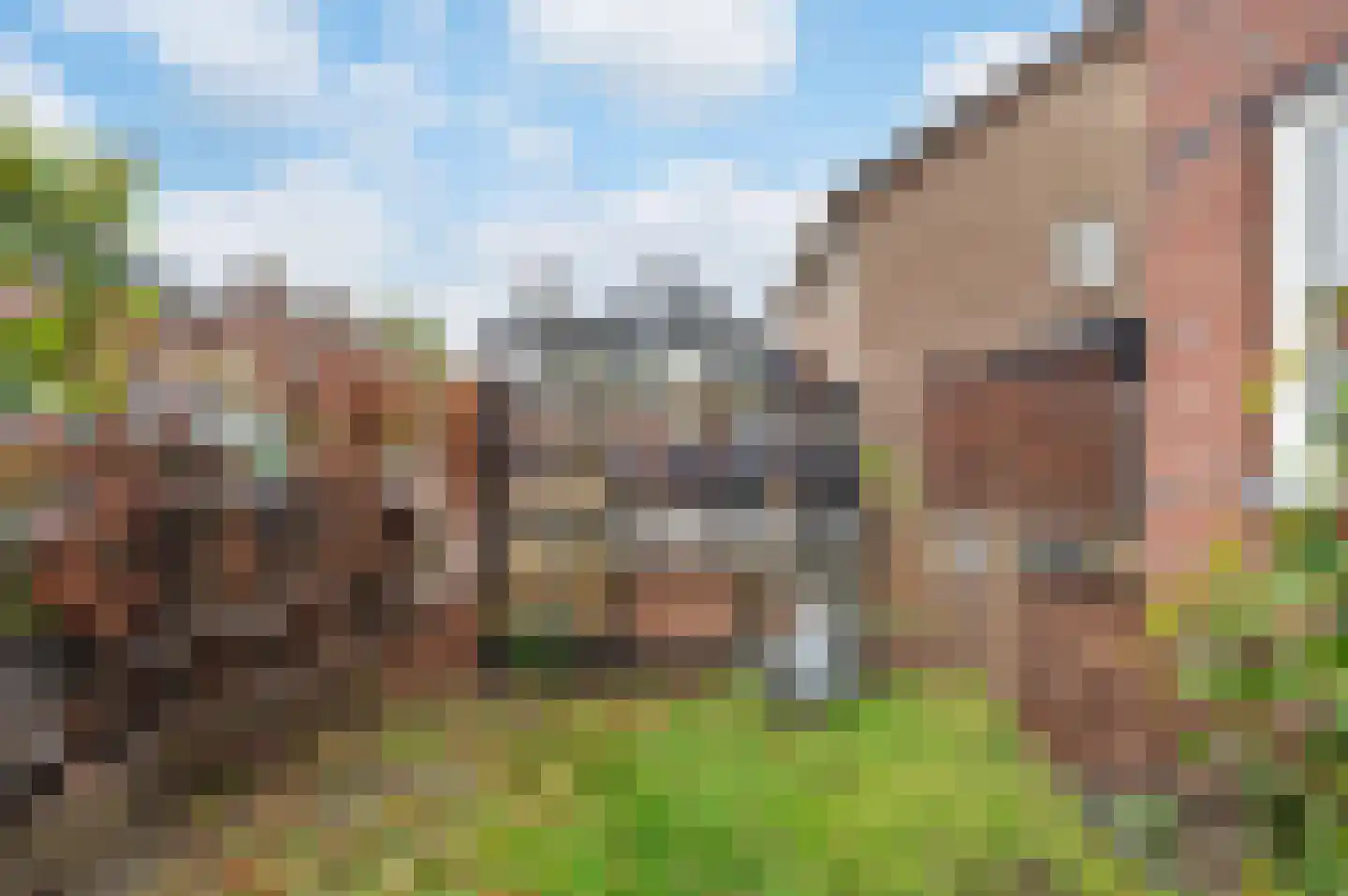 Boschweg 160 Schijndel thumbnail 23