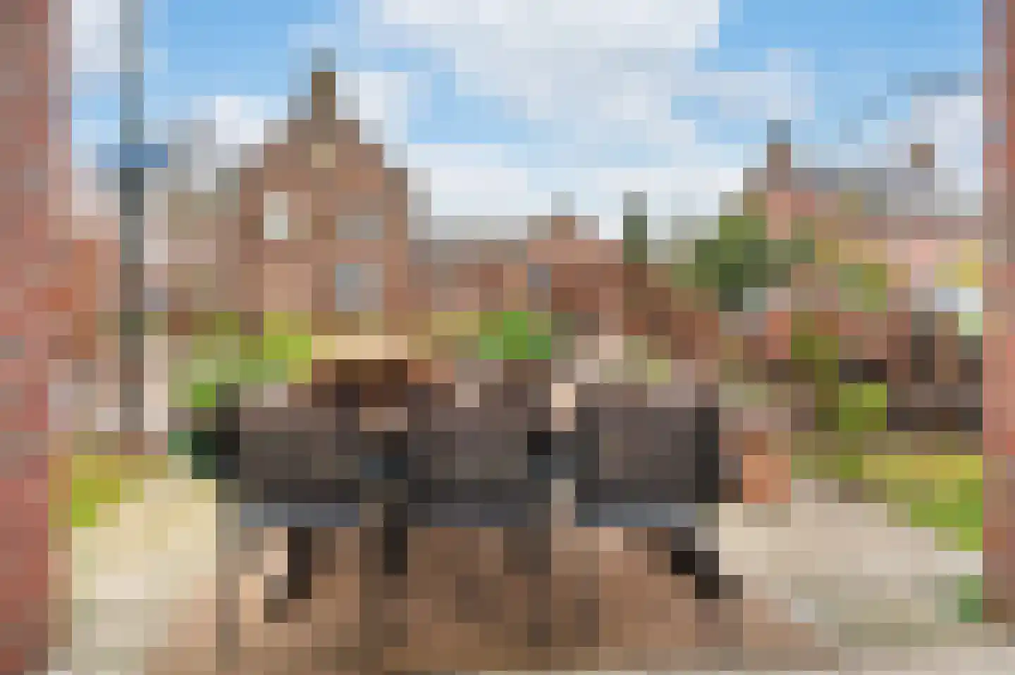 Boschweg 160 Schijndel thumbnail 24