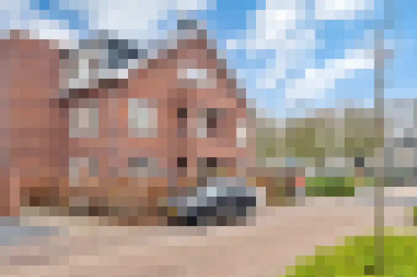 Boschweg 160 Schijndel thumbnail 35