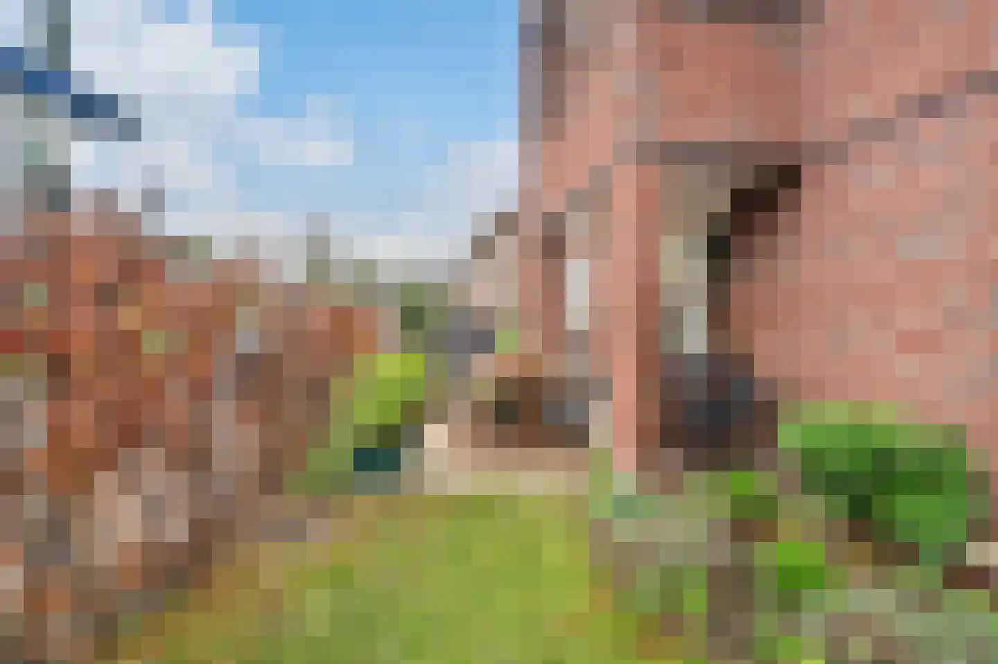 Boschweg 160 Schijndel thumbnail 4