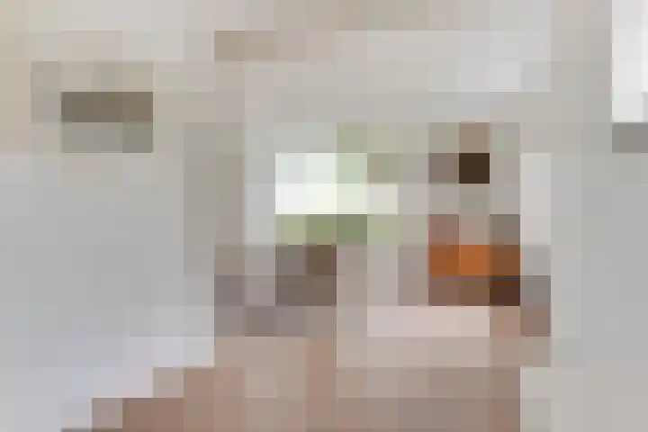 Boschweg 18 Akersloot thumbnail 10