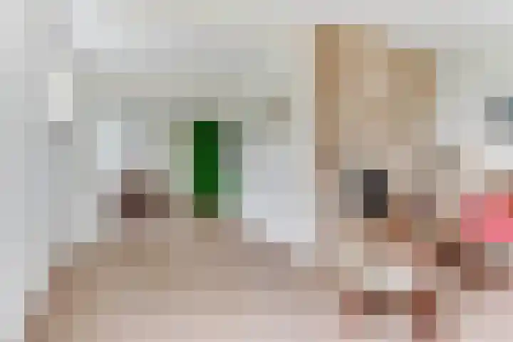 Boschweg 18 Akersloot thumbnail 12