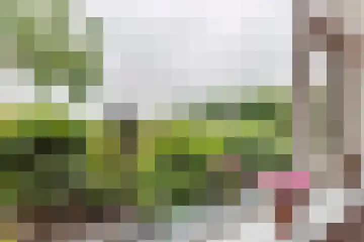 Boschweg 18 Akersloot thumbnail 14