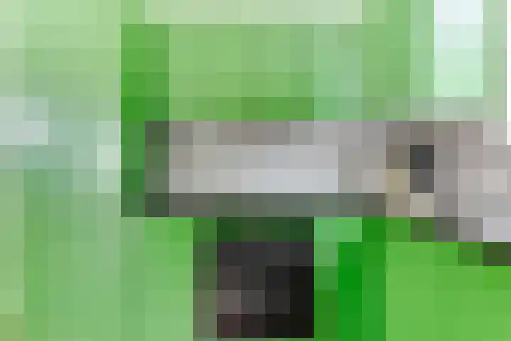 Boschweg 18 Akersloot thumbnail 20