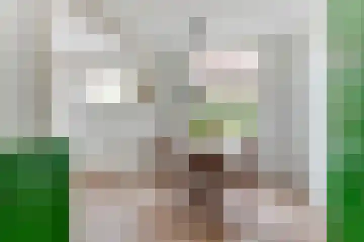 Boschweg 18 Akersloot thumbnail 21