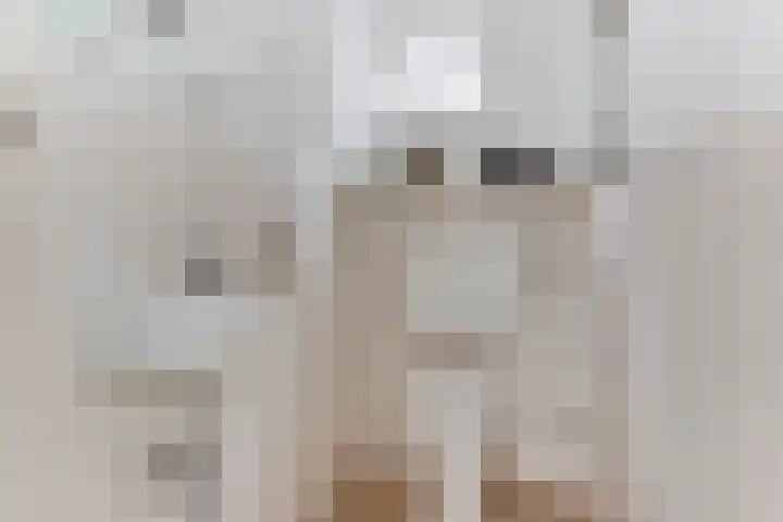 Boschweg 18 Akersloot thumbnail 23