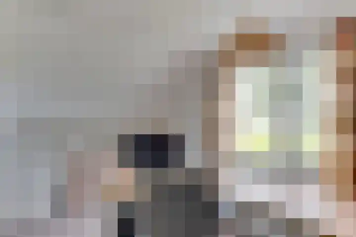 Boschweg 18 Akersloot thumbnail 30