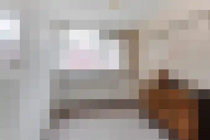 Boschweg 18 Akersloot thumbnail 32