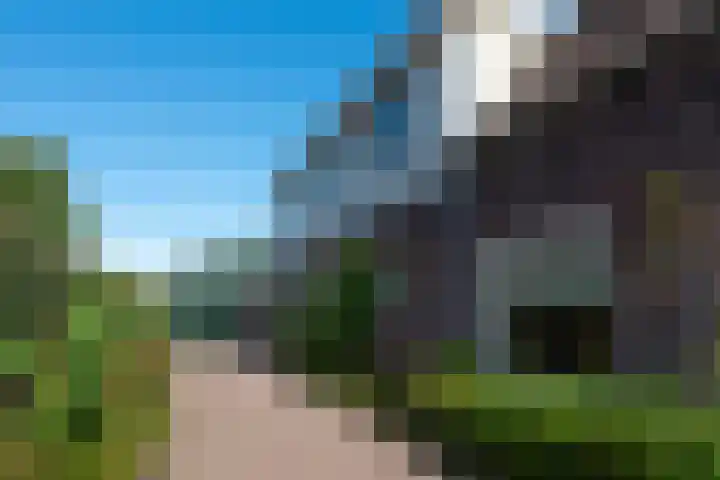 Boschweg 18 Akersloot thumbnail 35