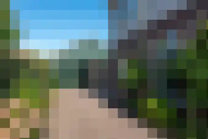 Boschweg 18 Akersloot thumbnail 36
