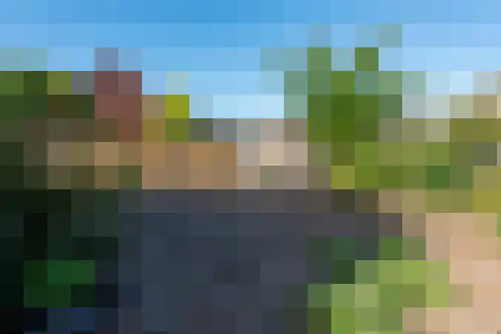 Boschweg 18 Akersloot thumbnail 41