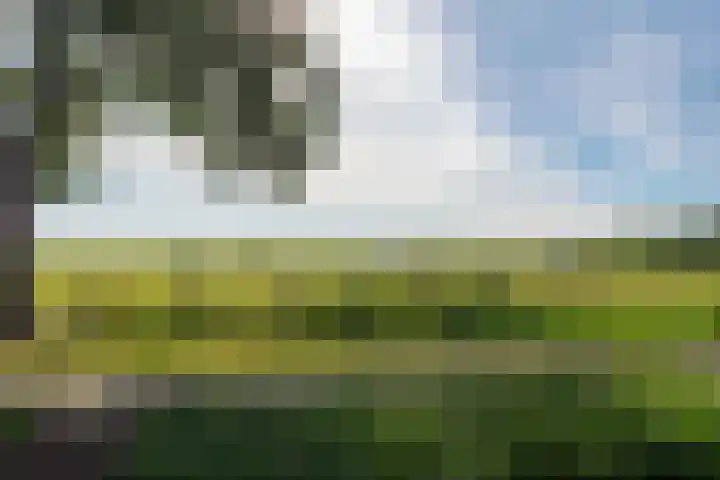 Boschweg 18 Akersloot thumbnail 43
