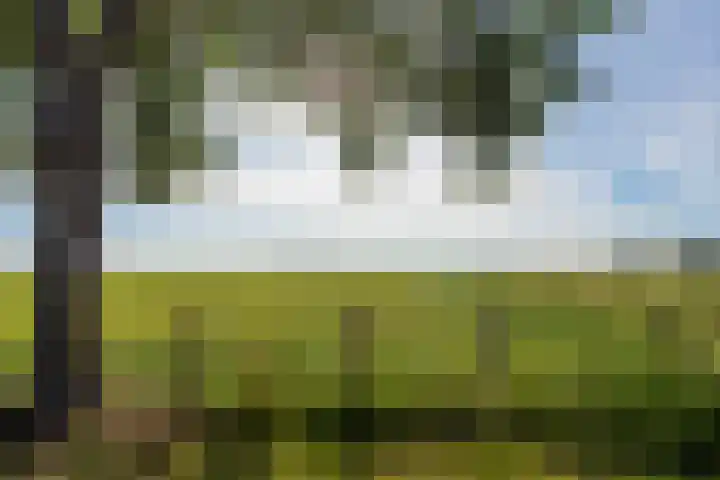 Boschweg 18 Akersloot thumbnail 44