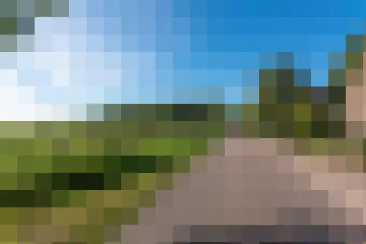 Boschweg 18 Akersloot thumbnail 45