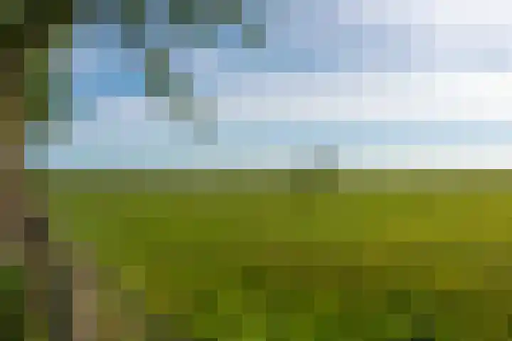 Boschweg 18 Akersloot thumbnail 46