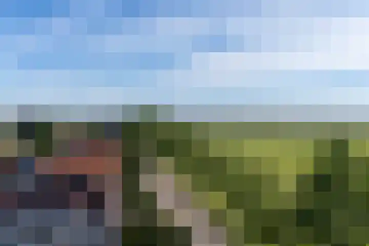 Boschweg 18 Akersloot thumbnail 48