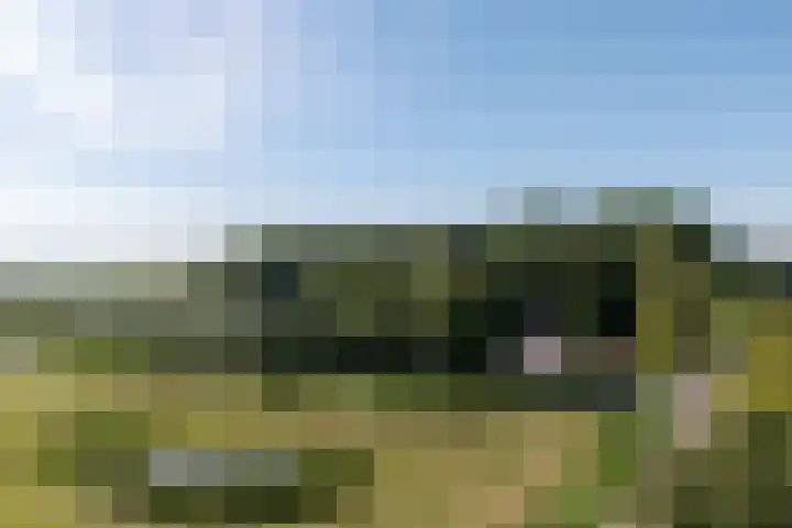 Boschweg 18 Akersloot thumbnail 49