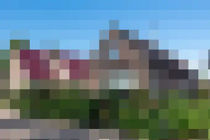 Boschweg 18 Akersloot thumbnail 5