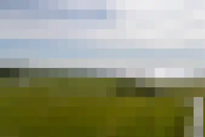 Boschweg 18 Akersloot thumbnail 50
