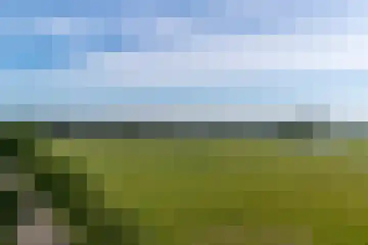 Boschweg 18 Akersloot thumbnail 51