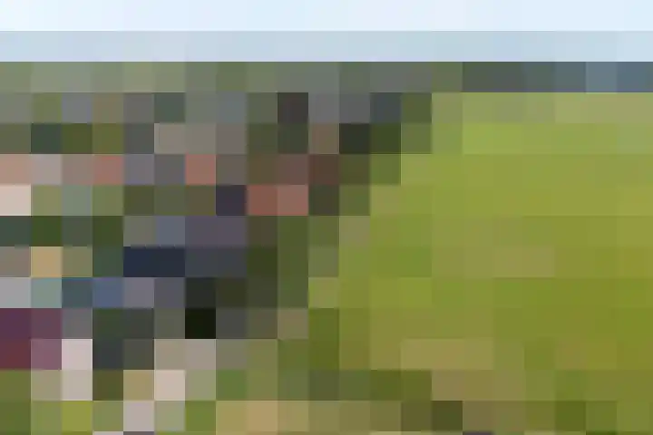 Boschweg 18 Akersloot thumbnail 52