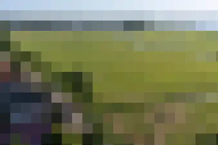 Boschweg 18 Akersloot thumbnail 53