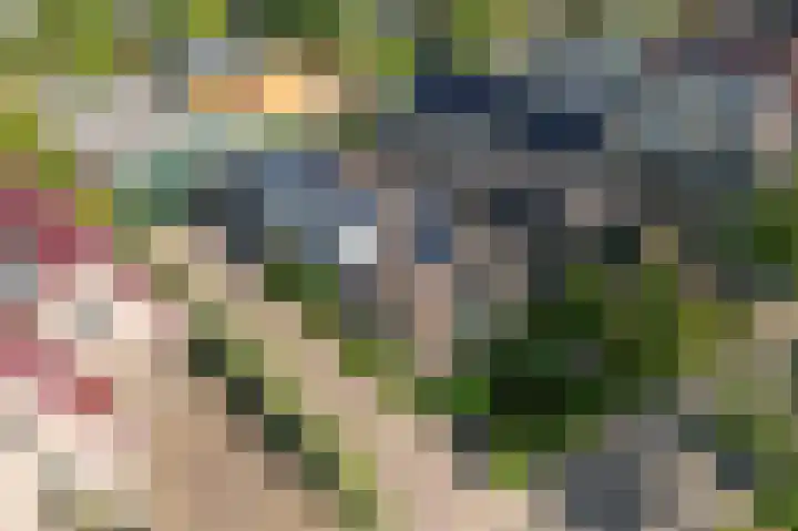 Boschweg 18 Akersloot thumbnail 6