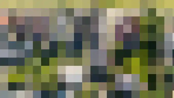 Boschweg 18 Akersloot thumbnail 7