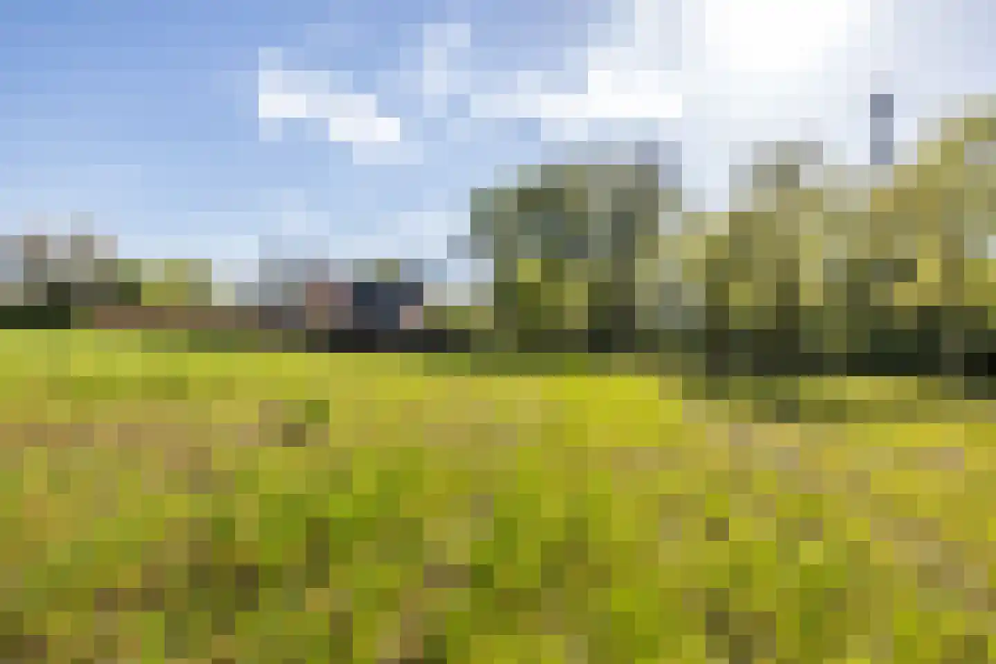 Boschweg 2 c Bunde thumbnail 5