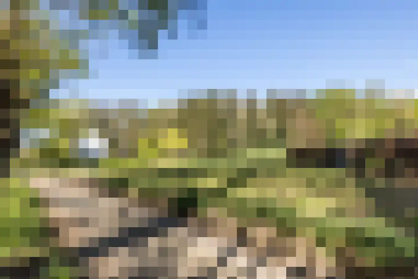 Boschweg 2 c Bunde thumbnail 7