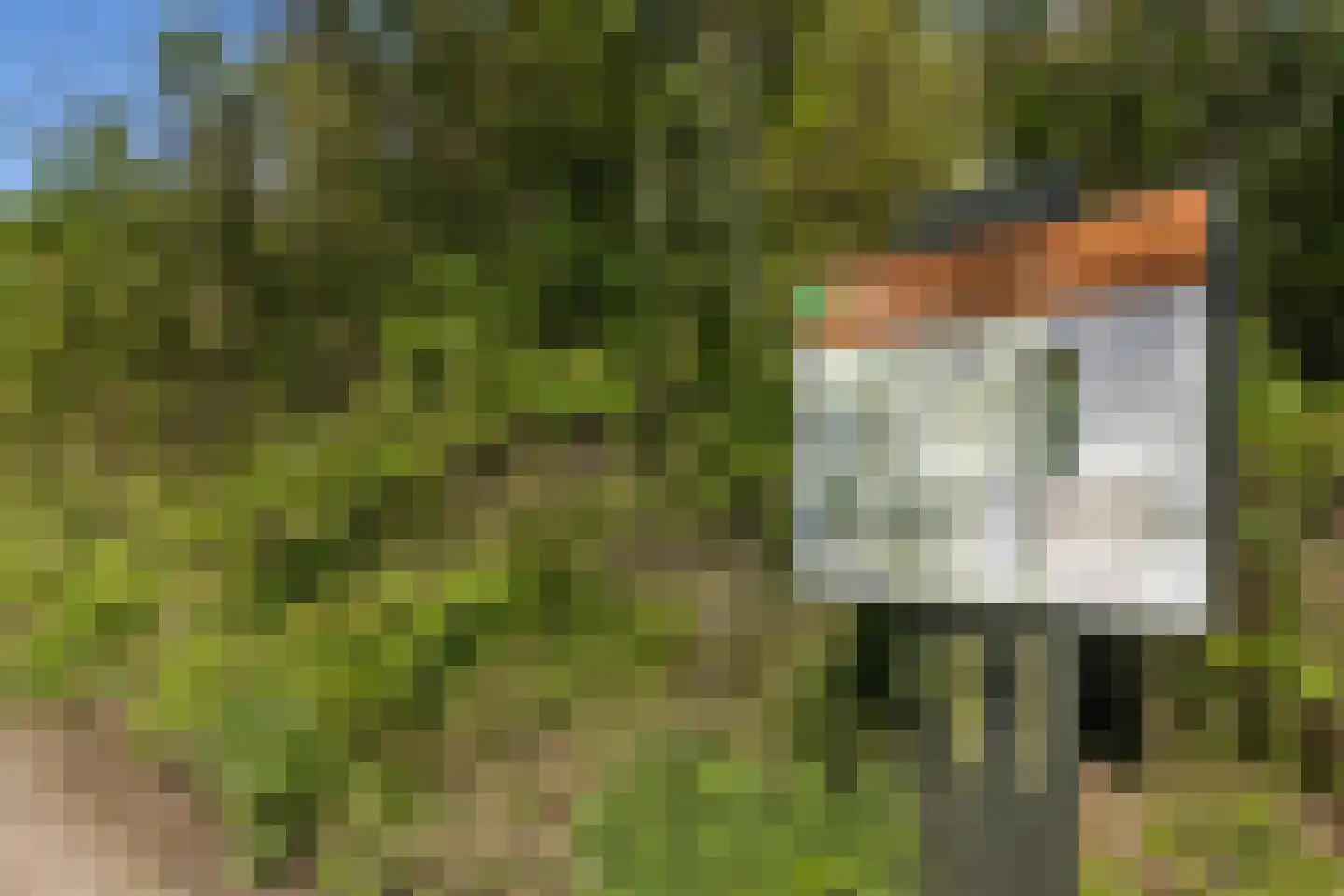 Boschweg 2 c Bunde thumbnail 9