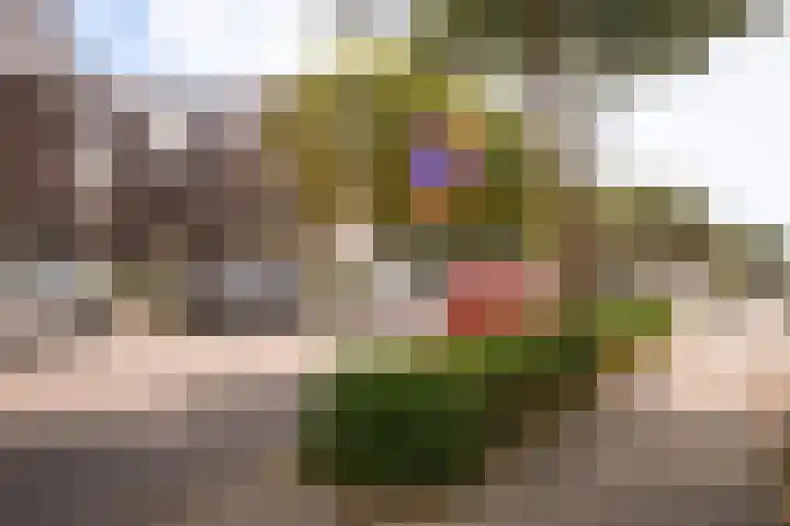 Boschweg 21 01 Schijndel thumbnail 25