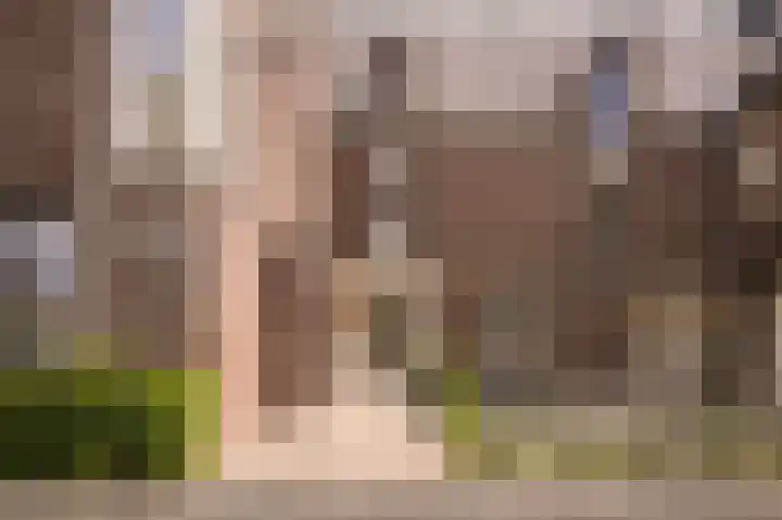Boschweg 21 01 Schijndel thumbnail 5