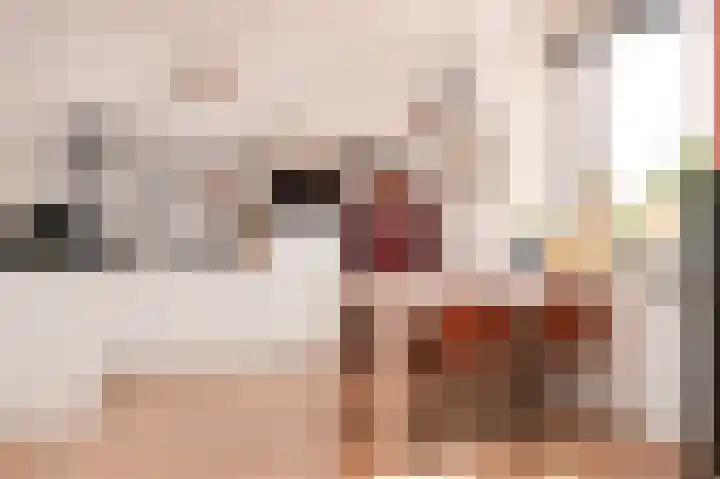 Boschweg 21 01 Schijndel thumbnail 7
