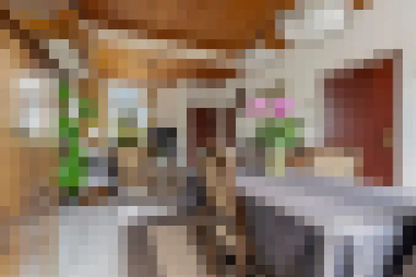 Boschweg 222 Schijndel thumbnail 13
