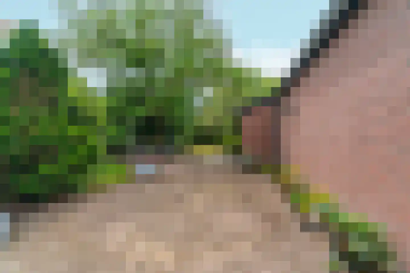 Boschweg 222 Schijndel thumbnail 36