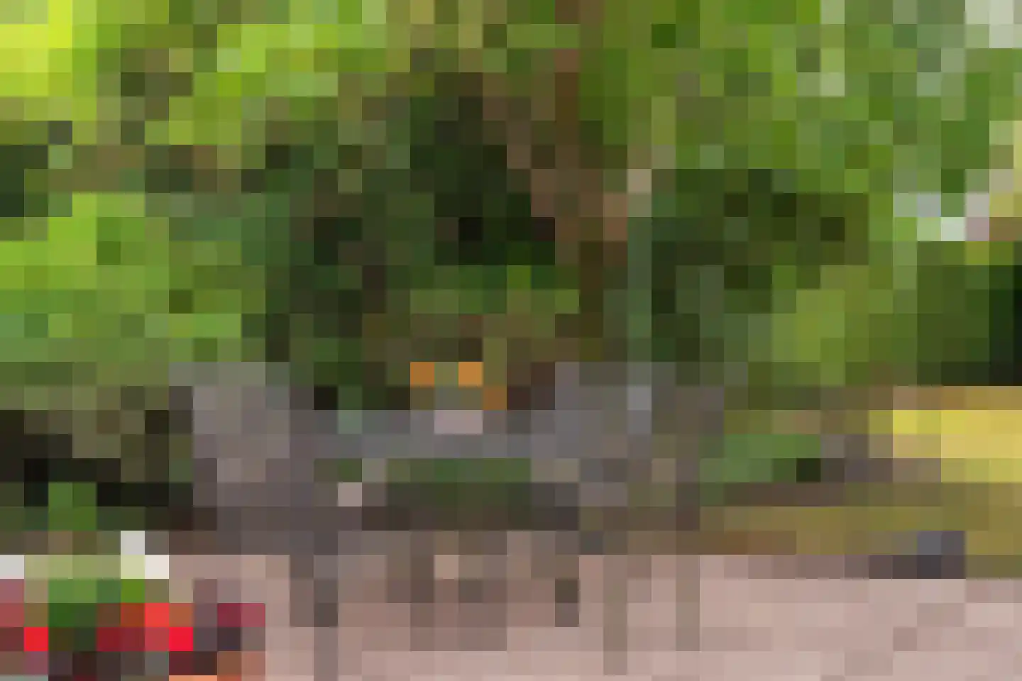 Boschweg 222 Schijndel thumbnail 37