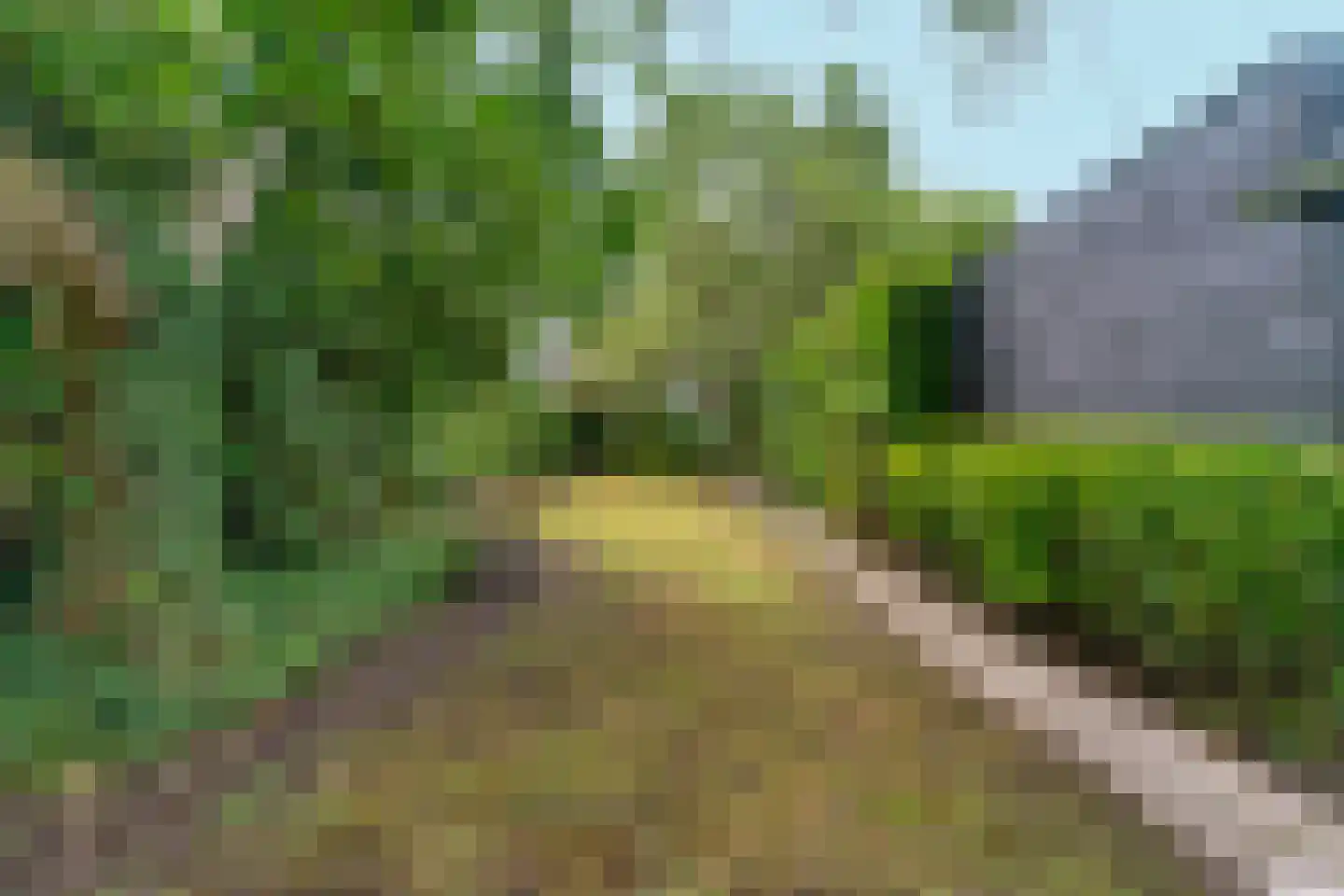 Boschweg 222 Schijndel thumbnail 38
