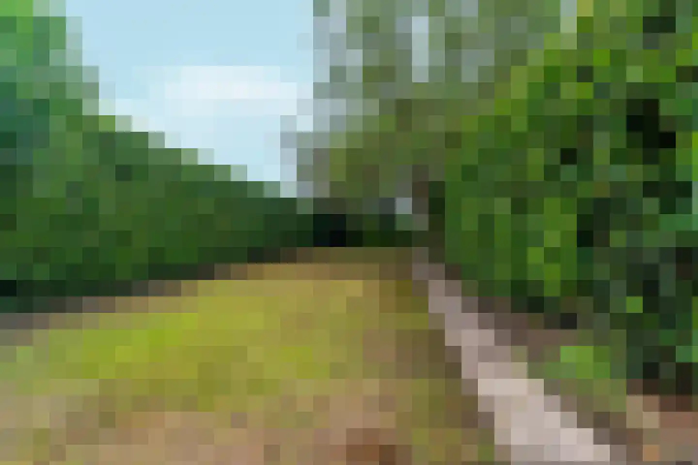 Boschweg 222 Schijndel thumbnail 39