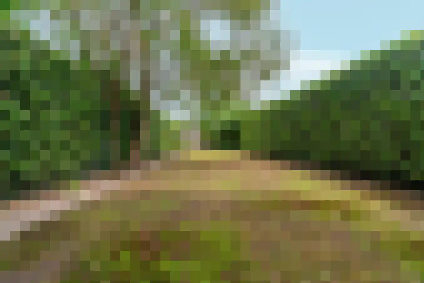 Boschweg 222 Schijndel thumbnail 4