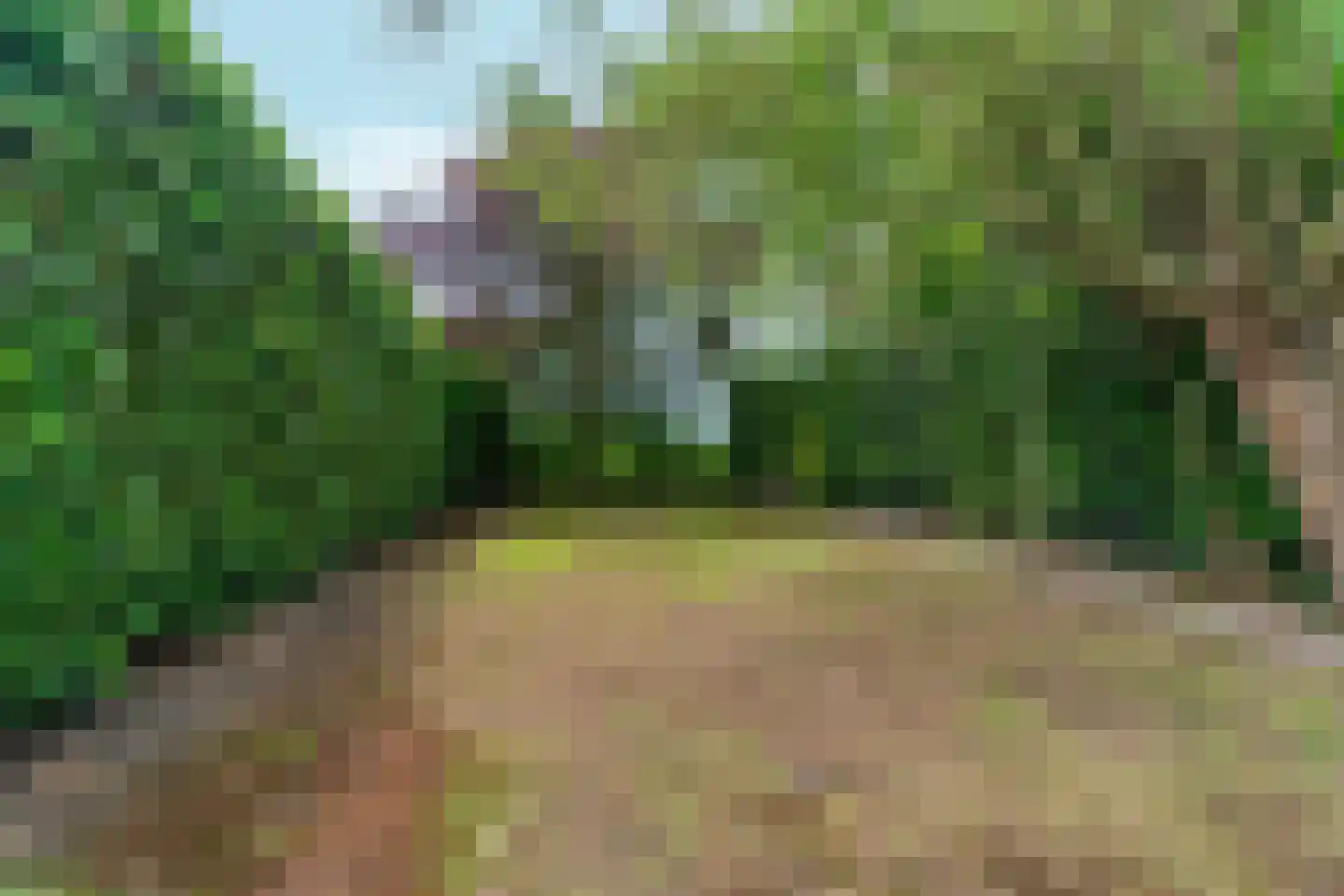 Boschweg 222 Schijndel thumbnail 40