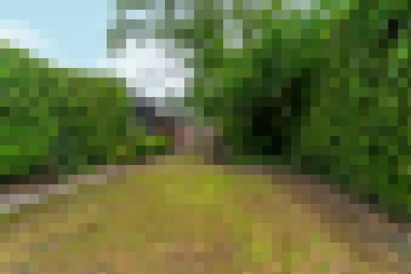 Boschweg 222 Schijndel thumbnail 42