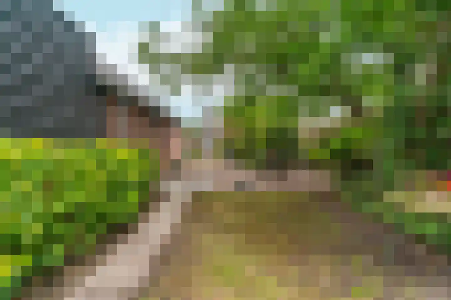 Boschweg 222 Schijndel thumbnail 43