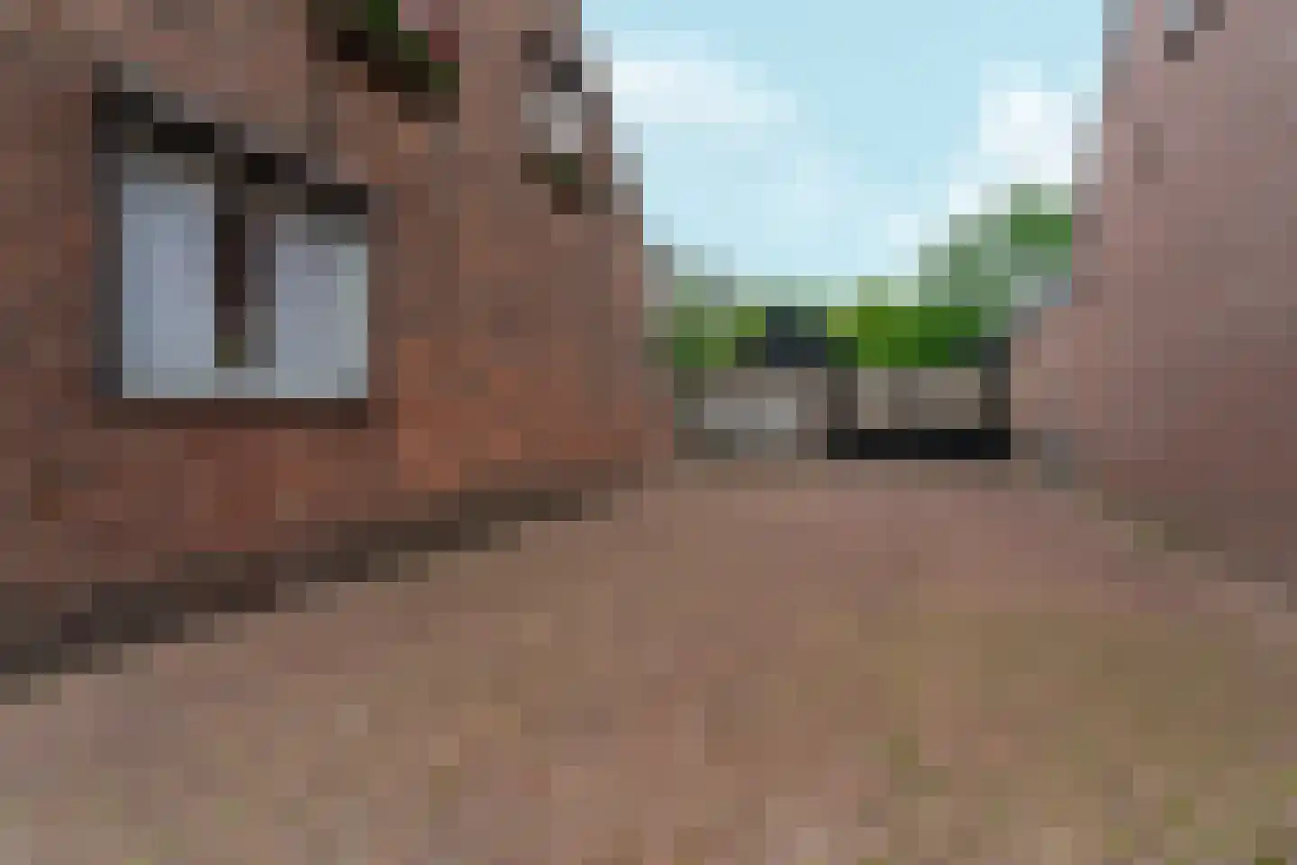 Boschweg 222 Schijndel thumbnail 48