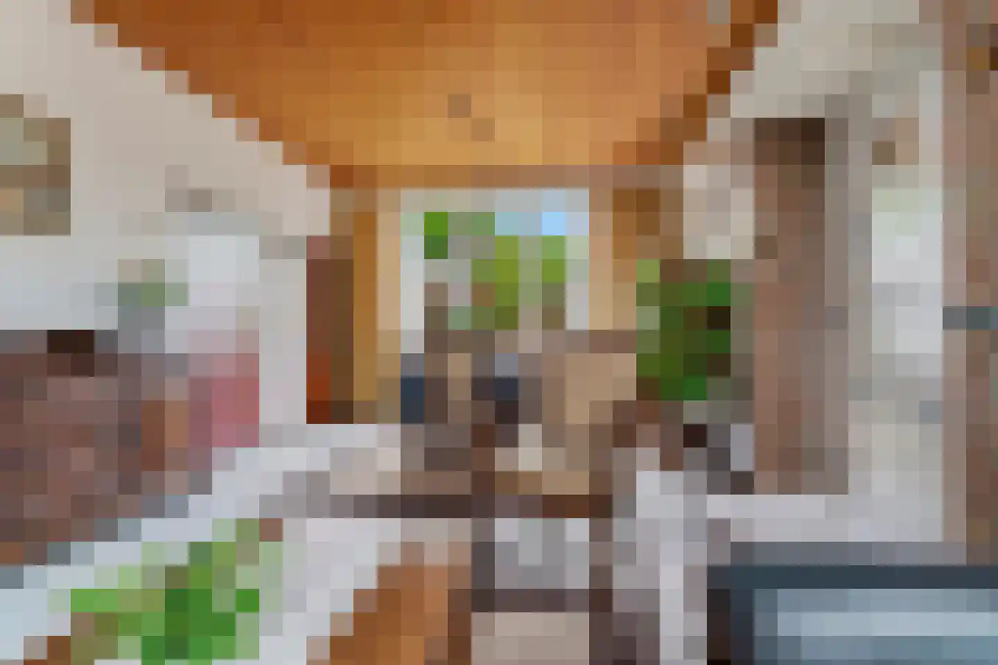Boschweg 222 Schijndel thumbnail 5