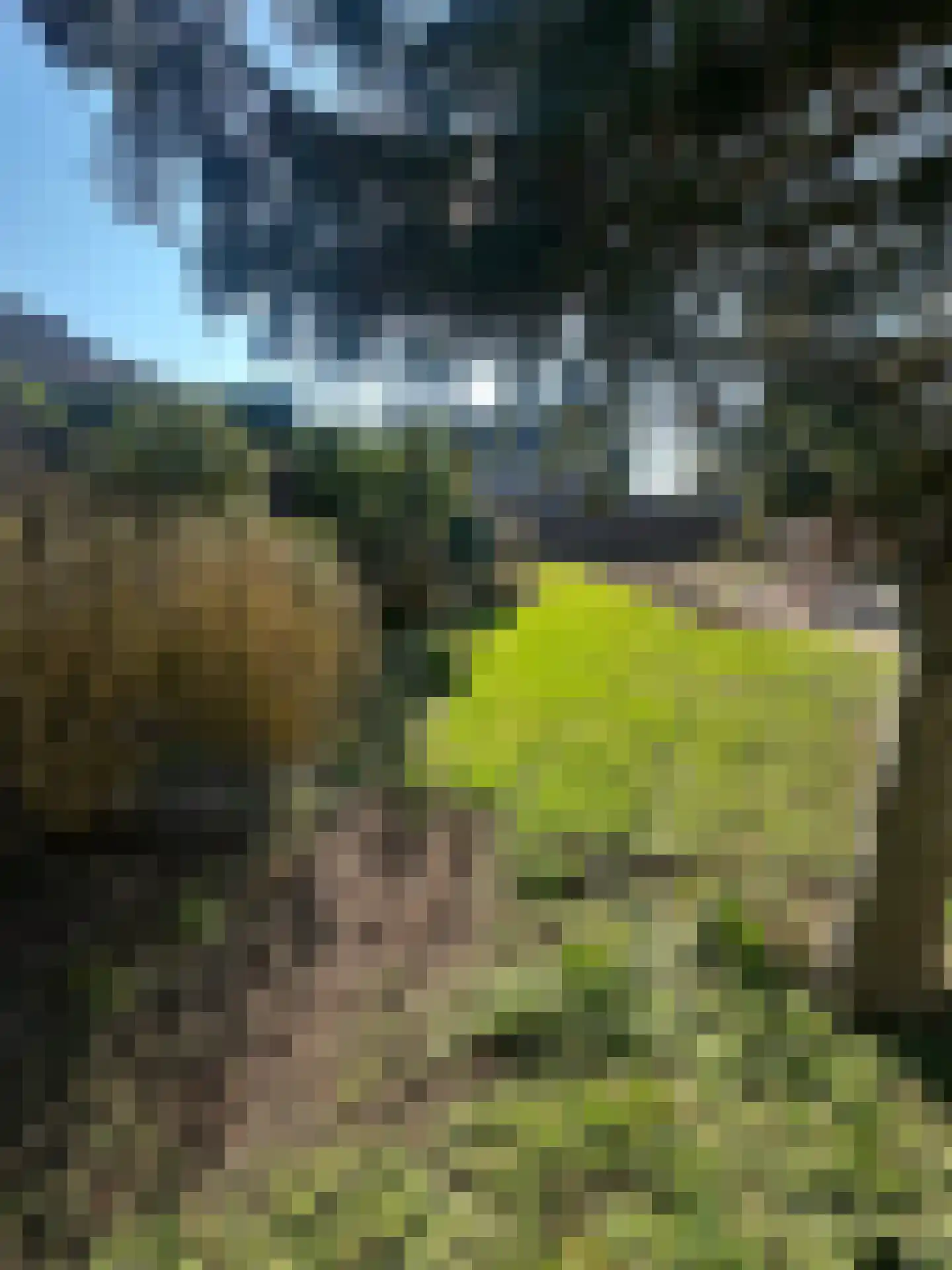 Boschweg 28 Schijndel thumbnail 4