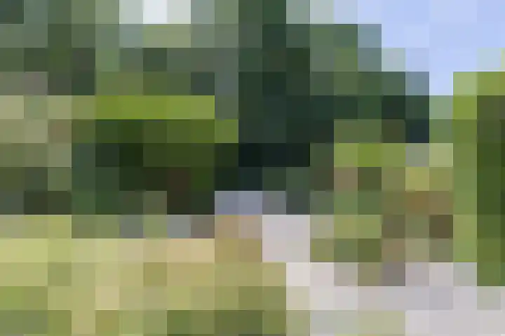 Boschweg 40 Akersloot thumbnail 11