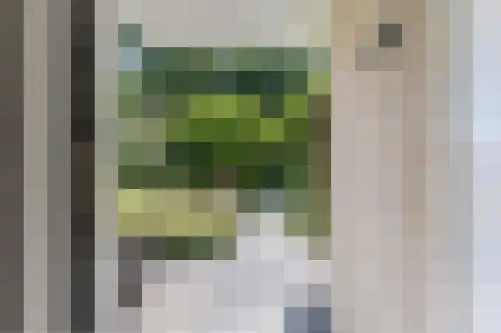 Boschweg 40 Akersloot thumbnail 17
