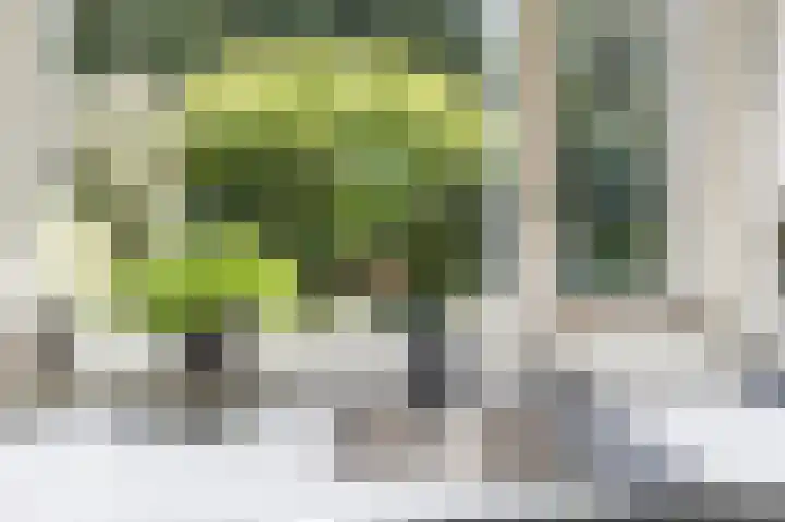 Boschweg 40 Akersloot thumbnail 27